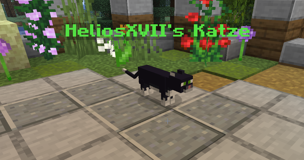 Katze